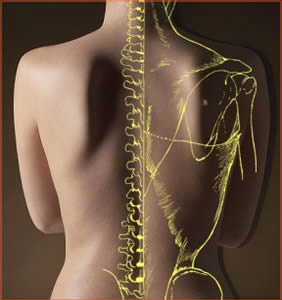 chiropractic image